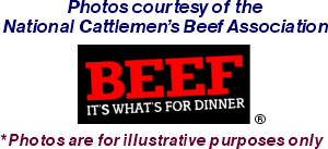 Nat_l_Cattlemen_s_Beef_-_Photos-4
